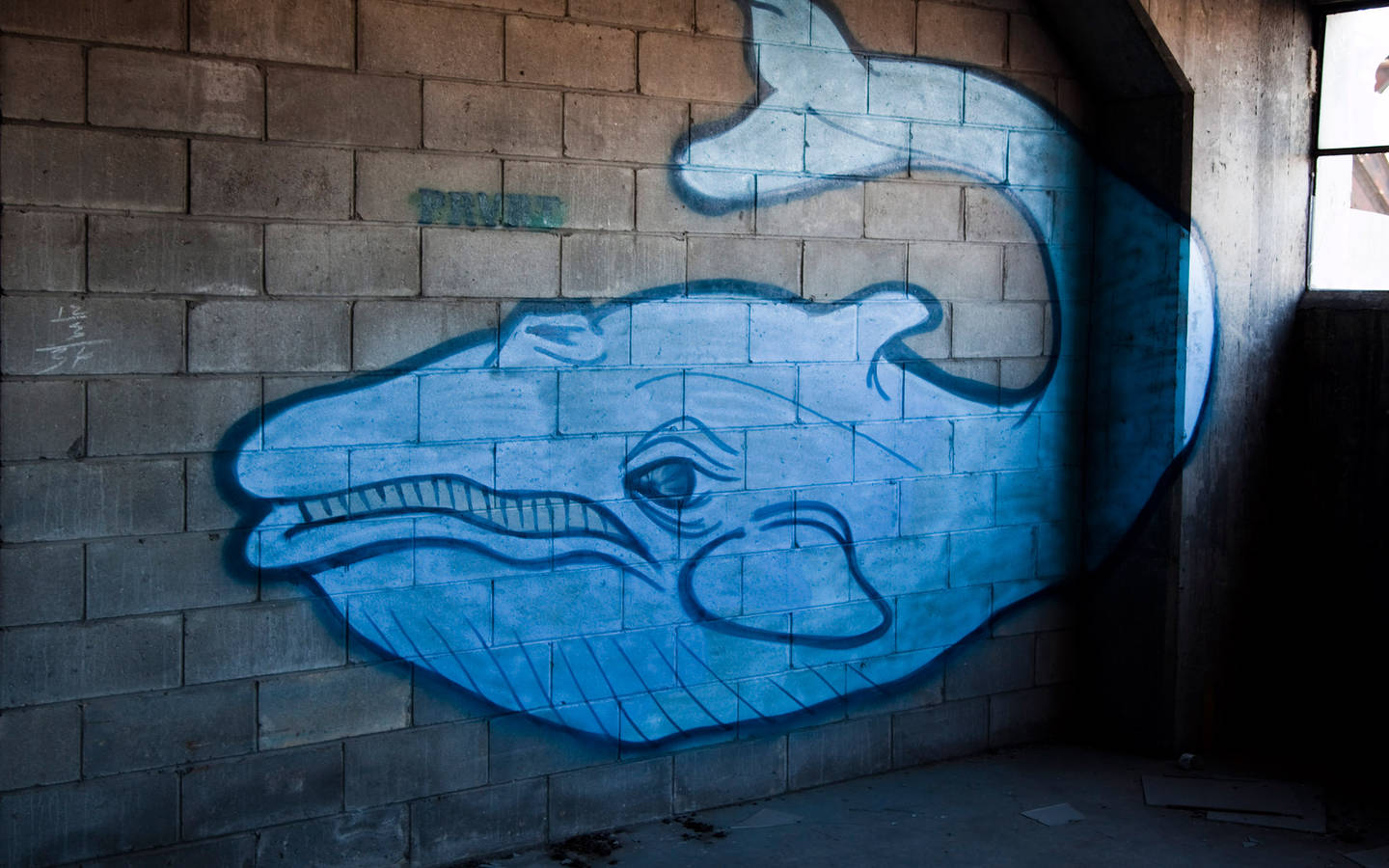 A KÉK BÁLNA KIHÍVÁS és minden hasonló KÖZÖS FELELŐSSÉGÜNK A KÉK BÁLNA KIHÍVÁS és minden hasonló KÖZÖS FELELŐSSÉGÜNK